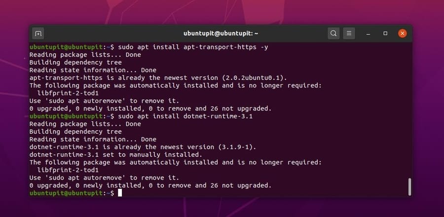 Dotnet Core en tiempo de ejecución de Linux