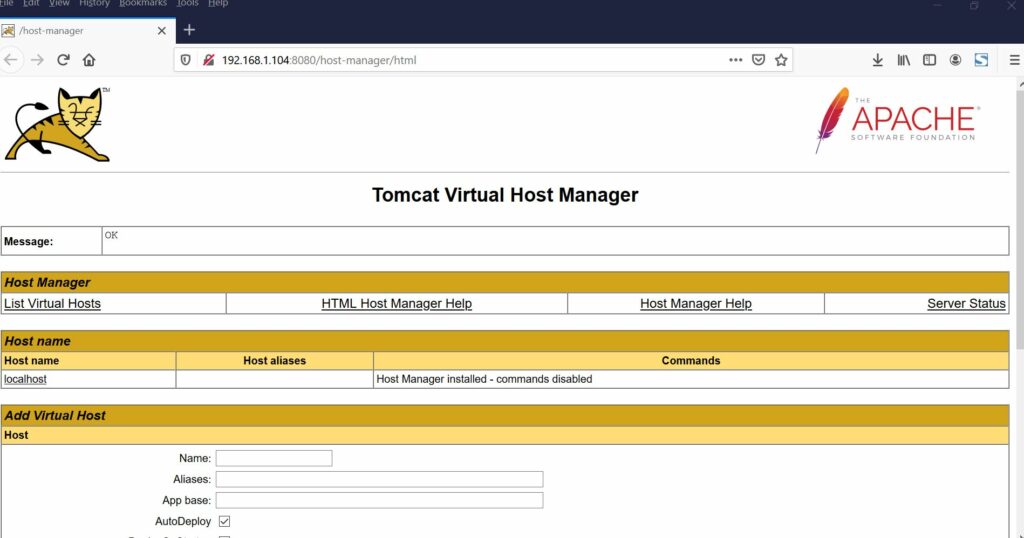 Tomcat-host-manager-página web-Debian10