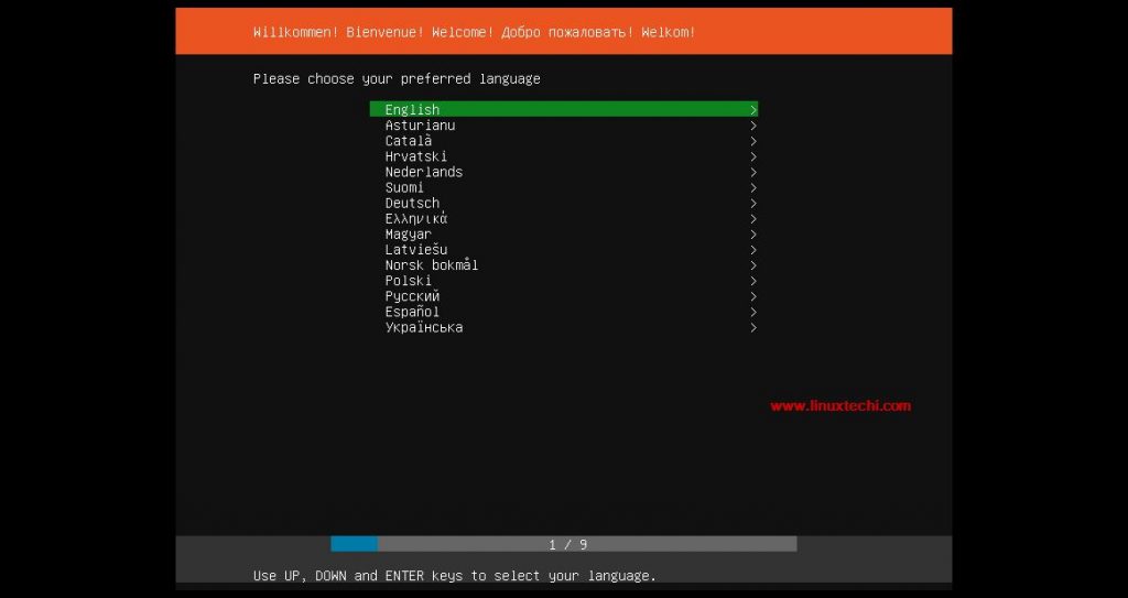 Idioma preferido-Ubuntu-18-04-Guía de instalación del servidor
